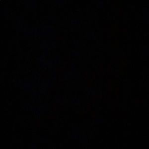 Meet your Posher, Nyla